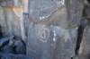 dsc_1783_fs_small.jpg