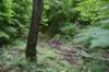 dsc_4580_fslinecreektrace_small.jpg