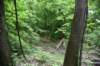 dsc_4582_fslinecreektrace_small.jpg