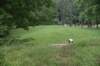dsc_4647_fs_small.jpg