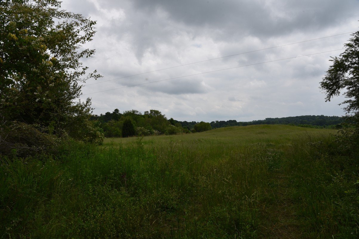 dsc_4653_fs.jpg