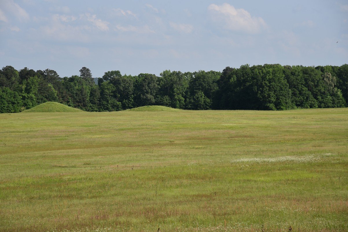dsc_4766_fs.jpg