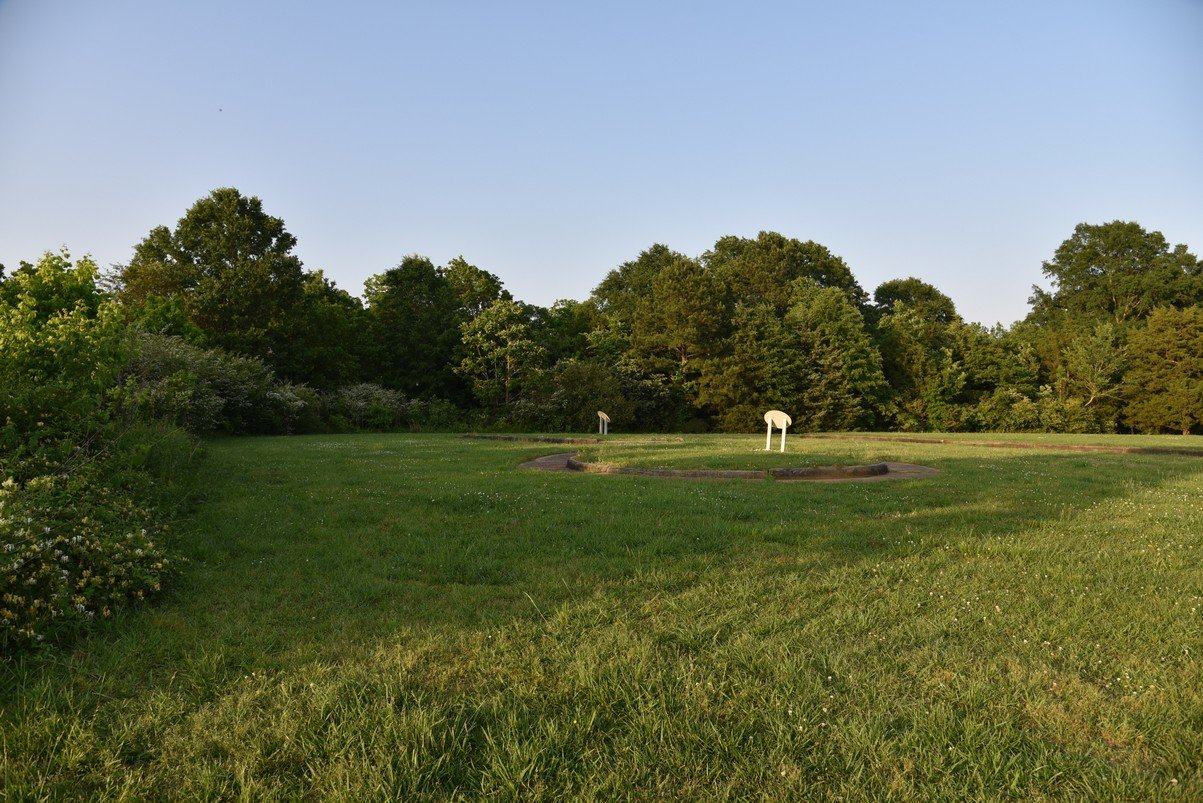 dsc_4803_fs.jpg