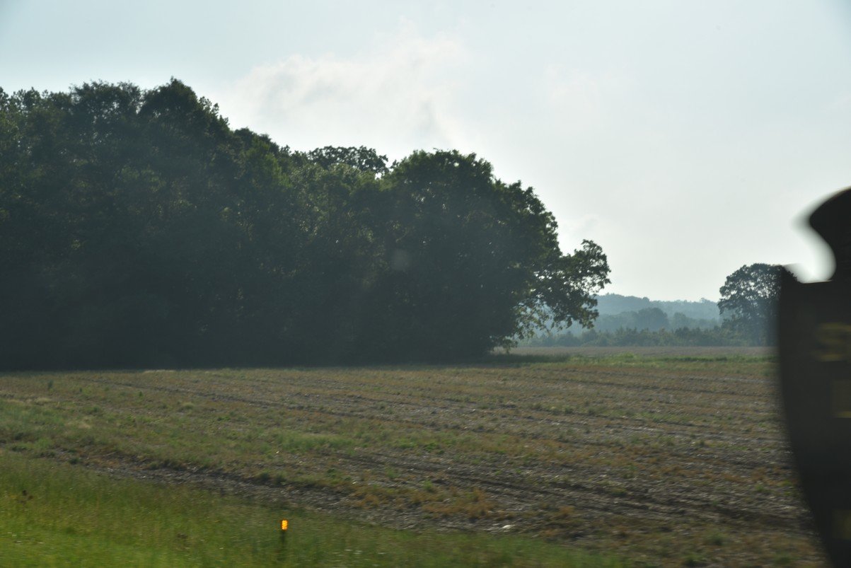 dsc_4811bearcreekmound.jpg