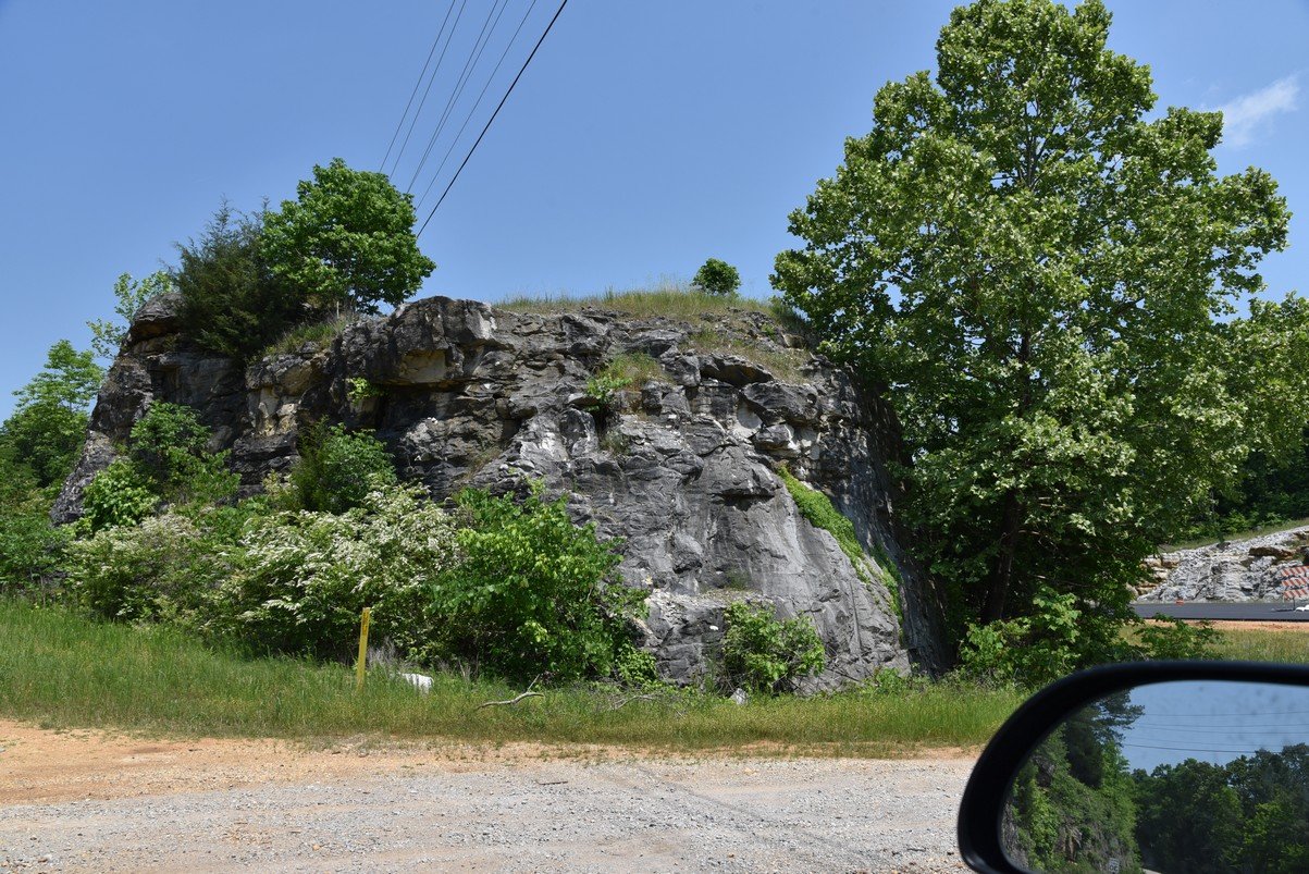dsc_4875_fs.jpg