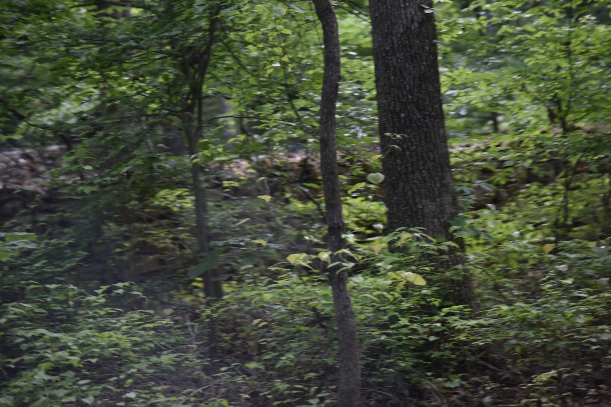dsc_4976_fs.jpg