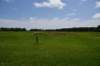 dsc_2546_fs_small.jpg