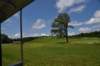 dsc_2554_fs_small.jpg