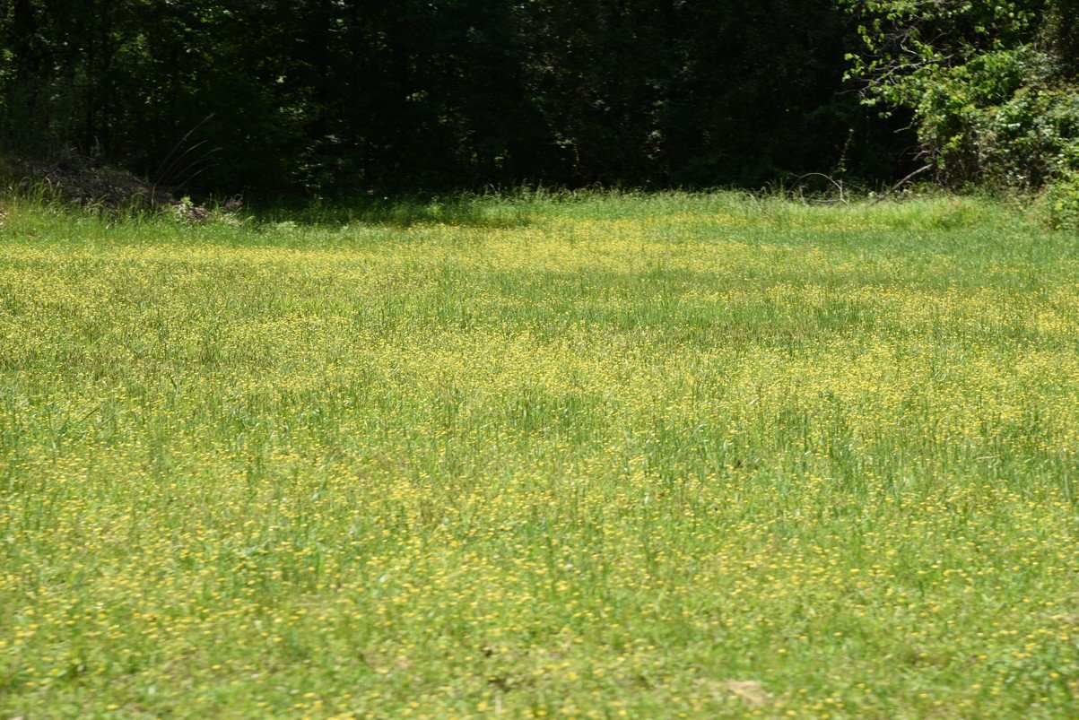 dsc_2562_fs.jpg
