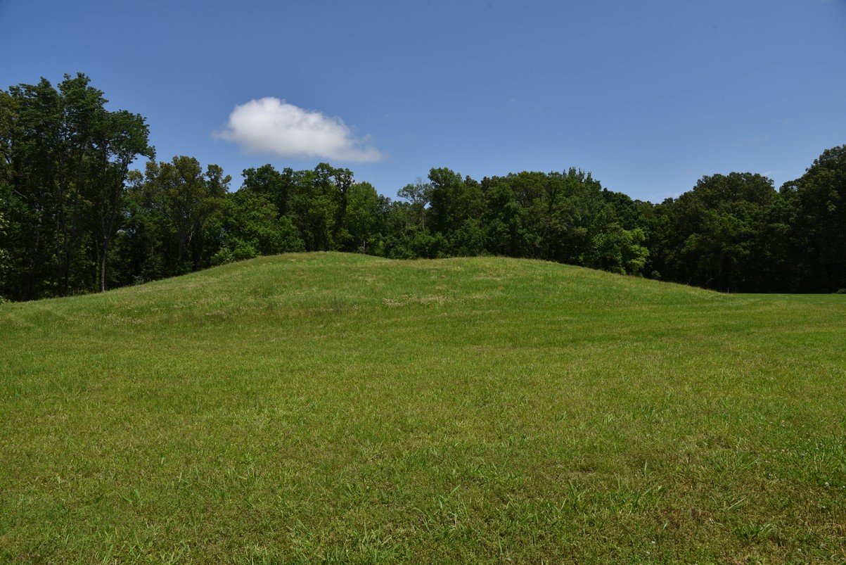 dsc_2566_fs.jpg