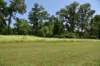 dsc_2578_fs_small.jpg