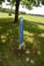 dsc_2583_fs_small.jpg