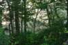 dsc_2585_fs_small.jpg
