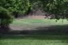 dsc_2589_fs_small.jpg