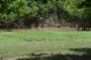 dsc_2591_fs_small.jpg