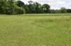 dsc_2599_fs_small.jpg