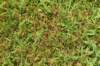 dsc_2600_fs_small.jpg