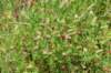 dsc_2601_fs_small.jpg