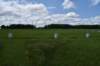 dsc_2603_fs_small.jpg