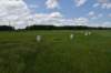 dsc_2604_fs_small.jpg