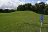 dsc_2672_fs_small.jpg