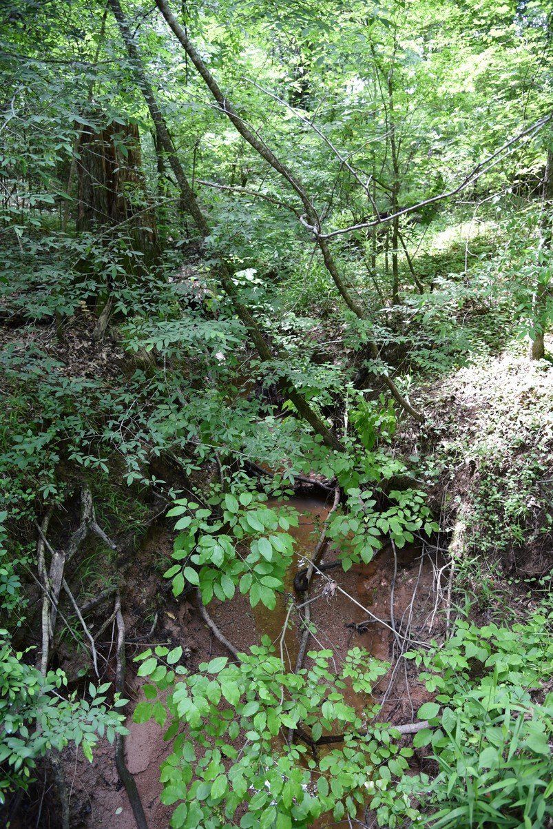 dsc_2676_fs.jpg
