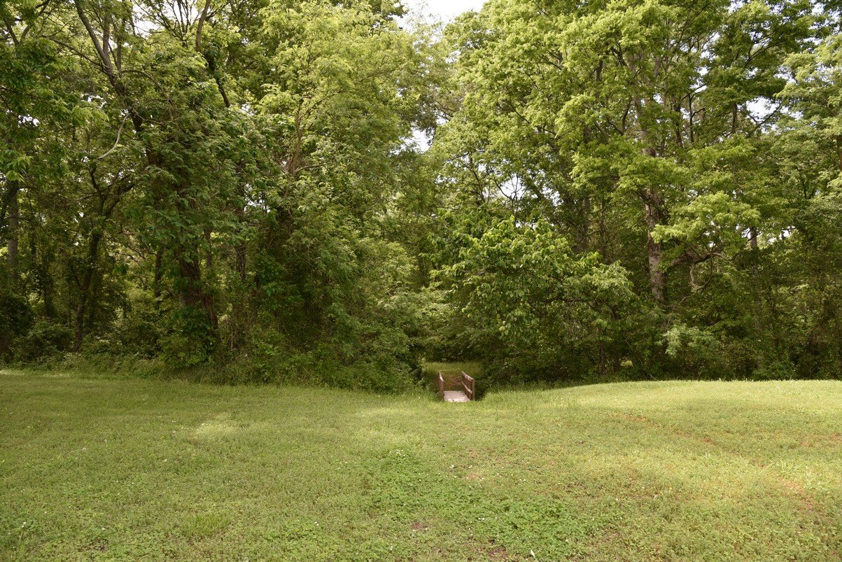 dsc_2679_fs.jpg