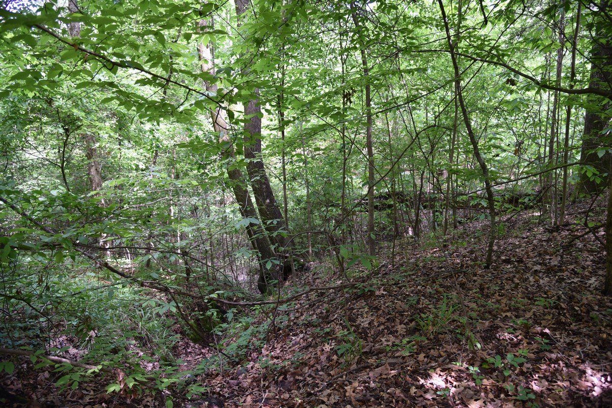 dsc_2688_fs.jpg