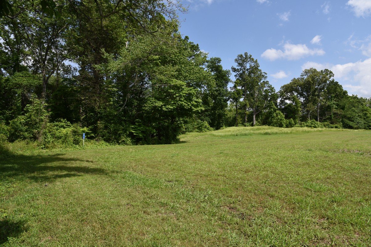 dsc_2697_fs.jpg