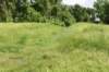 dsc_2701_fs_small.jpg