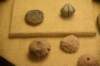 dsc_2726_fs_small.jpg