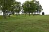 dsc_2767_fs_small.jpg