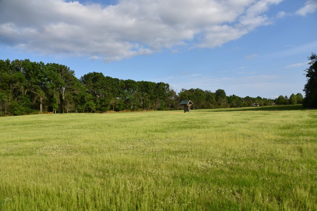 dsc_2786_fs.jpg