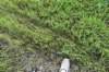 dsc_2818_fs_small.jpg