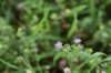 dsc_2819_fs_small.jpg