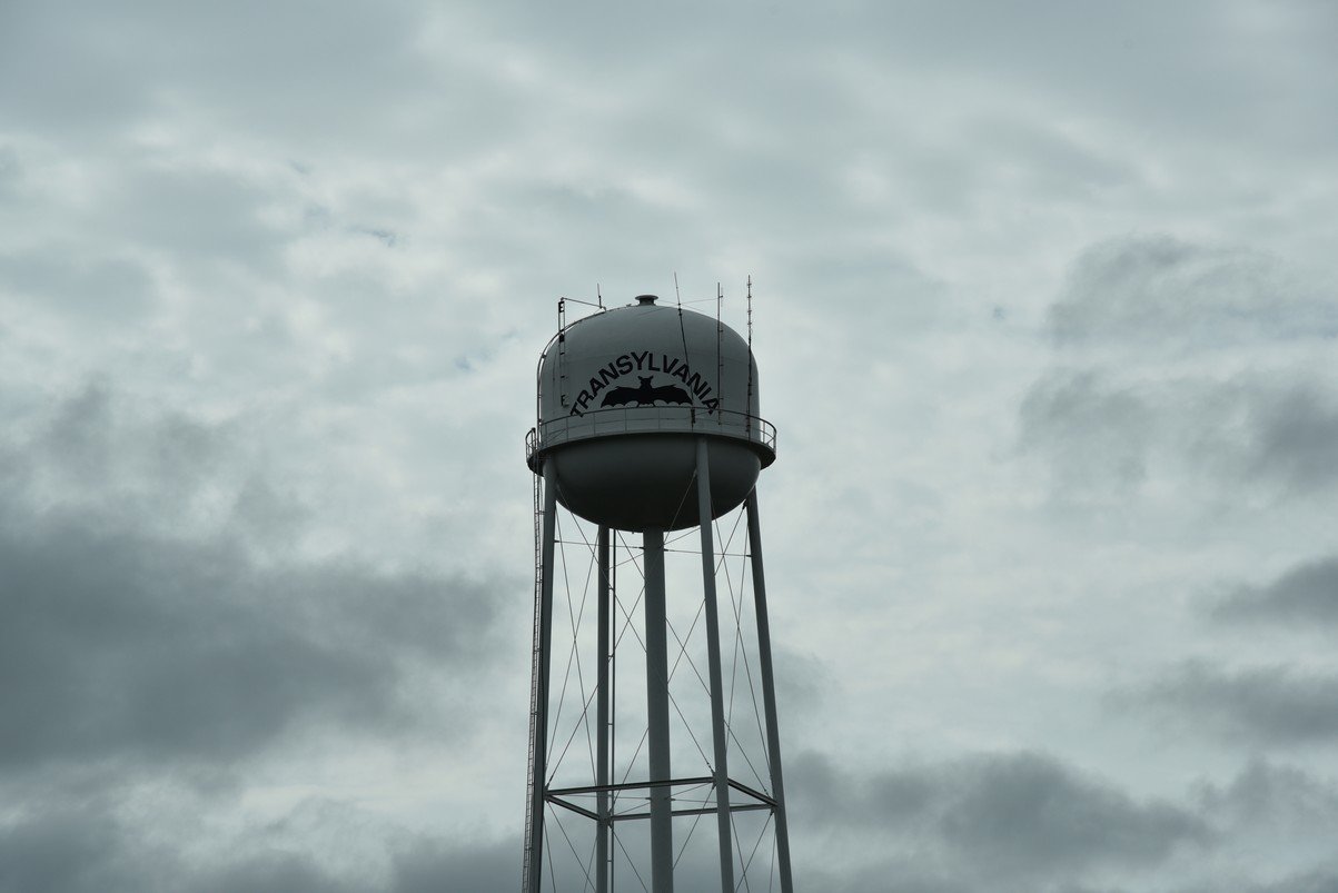 dsc_2831_fs.jpg