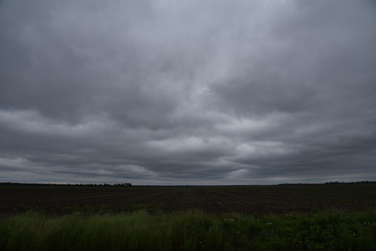 dsc_2834_fs.jpg