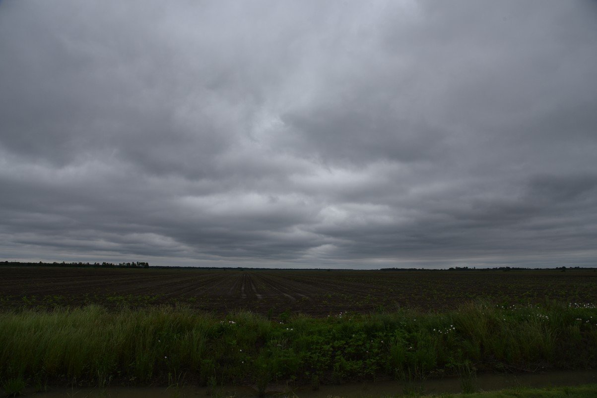 dsc_2837_fs.jpg