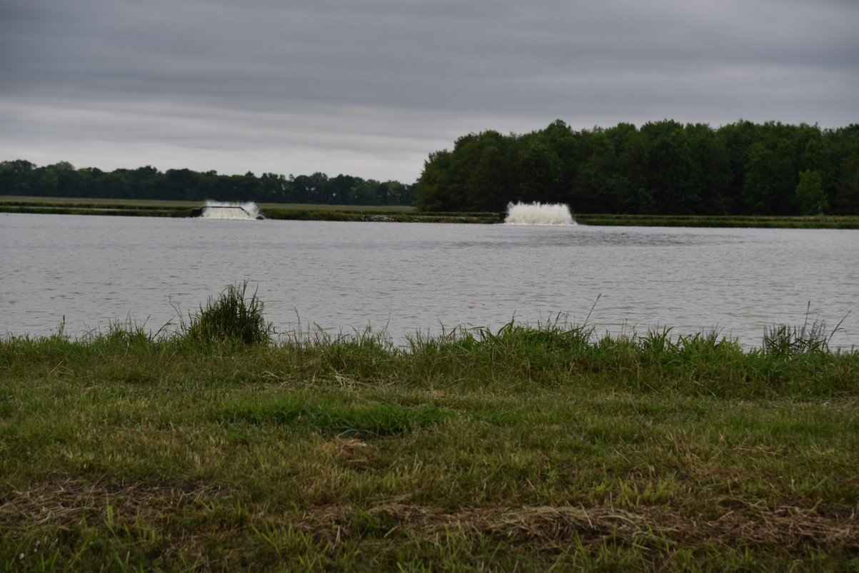 dsc_2841_fs.jpg