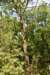 dsc_5329_fs_small.jpg