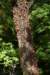 dsc_5330_fs_small.jpg