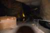dsc_5338_fs_small.jpg