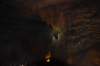 dsc_5342_fs_small.jpg