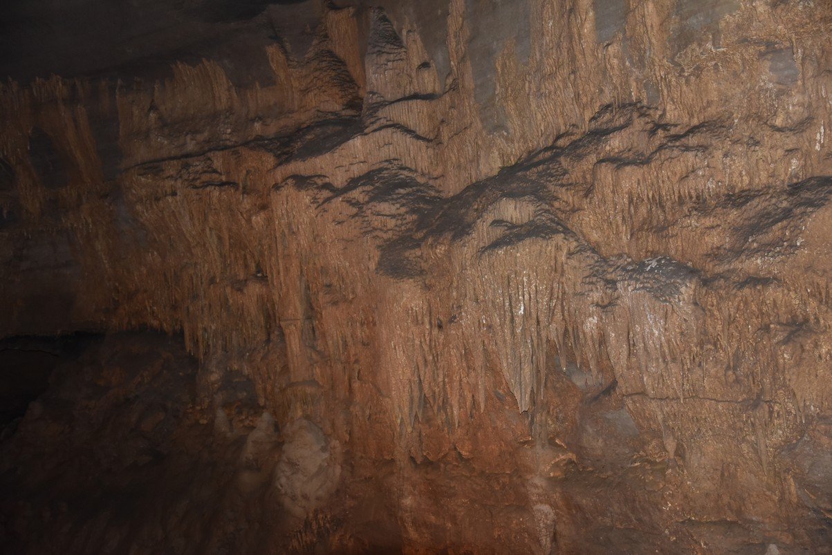 dsc_5351_fs.jpg