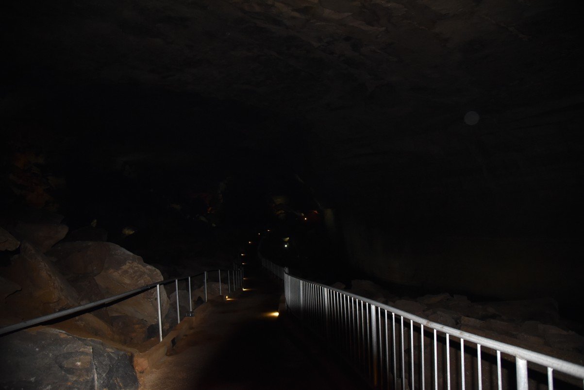dsc_5355_fs.jpg