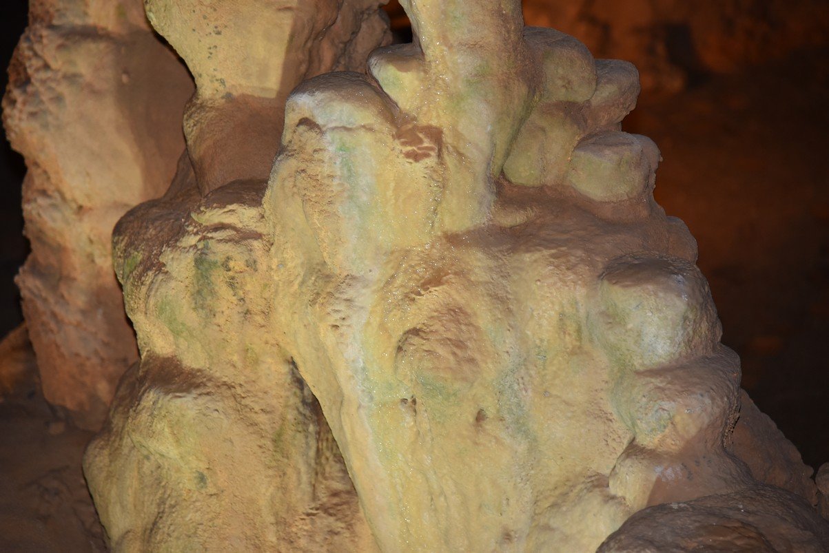 dsc_5366_fs.jpg