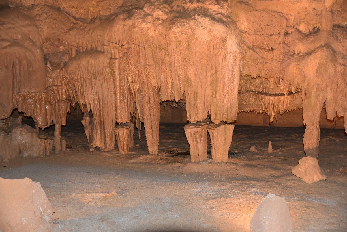 dsc_5384_fs.jpg