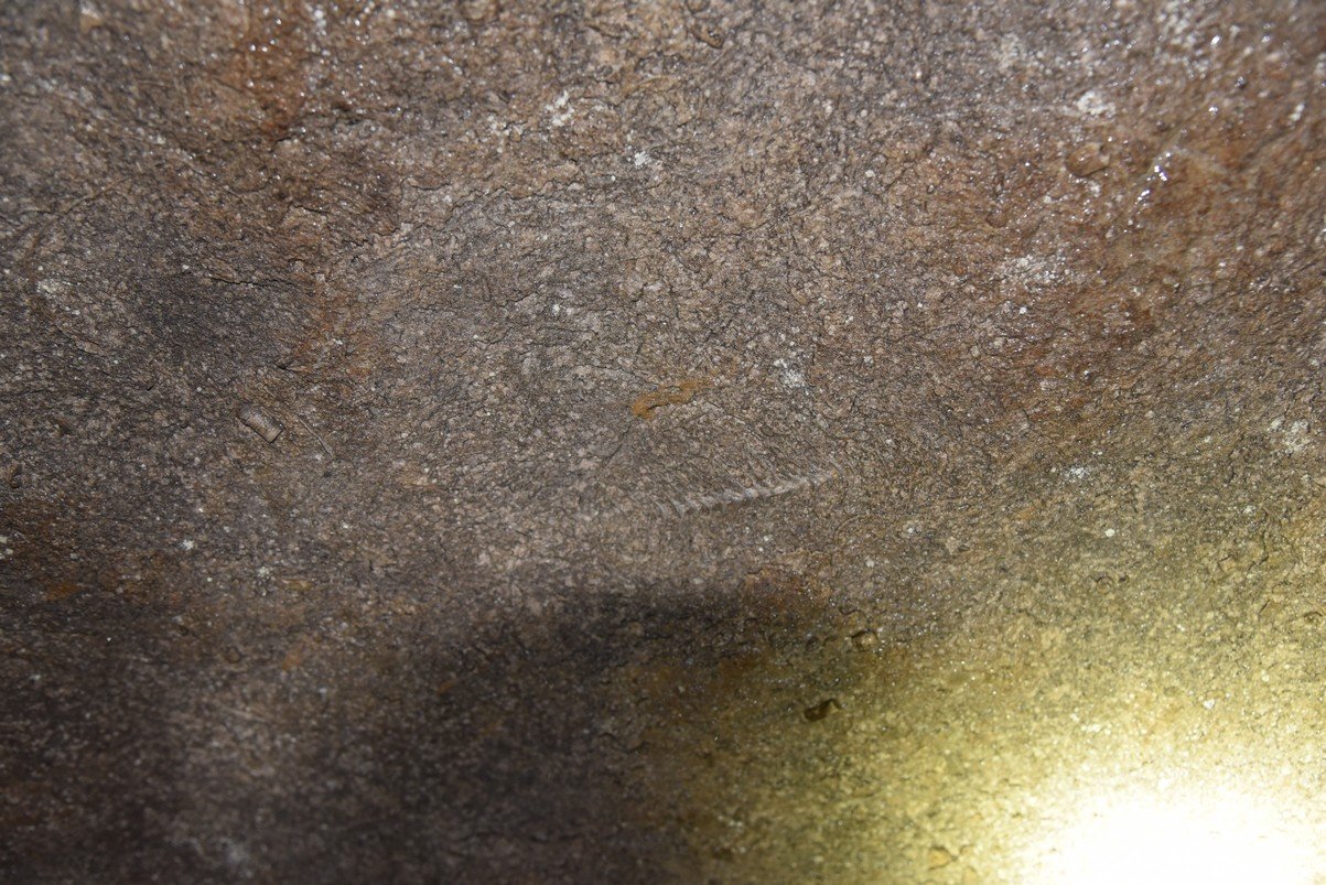 dsc_5395_fs.jpg