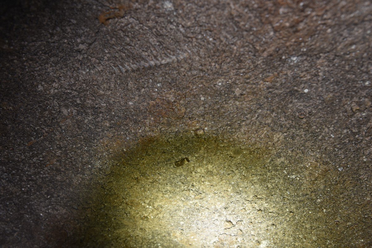 dsc_5396_fs.jpg