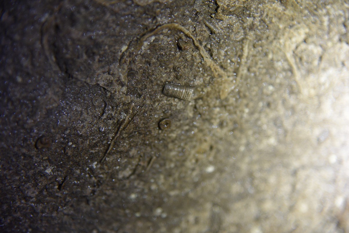 dsc_5397_fs.jpg